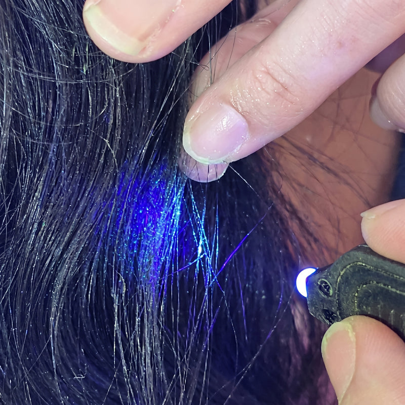 A real nit egg glowing under UV light on a hair strand
