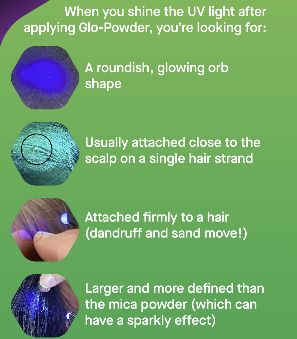 How to check your child's hair for head lice in 5 minutes