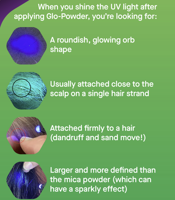How to check your child's hair for head lice in 5 minutes